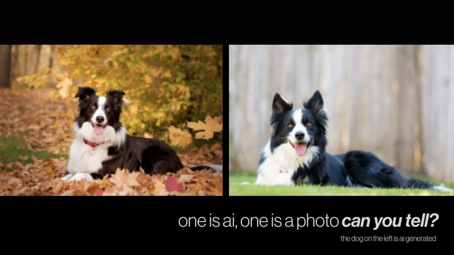 AI-picture-comparison